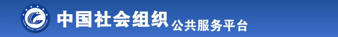 国产精品秘入口在线看sm全国社会组织信息查询